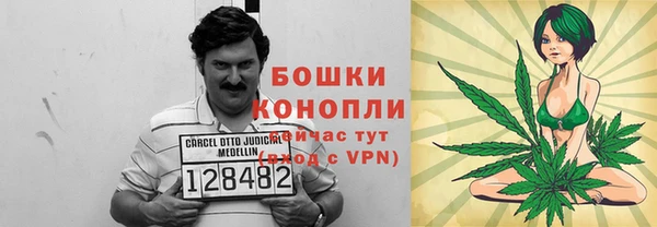 соль ск Абаза
