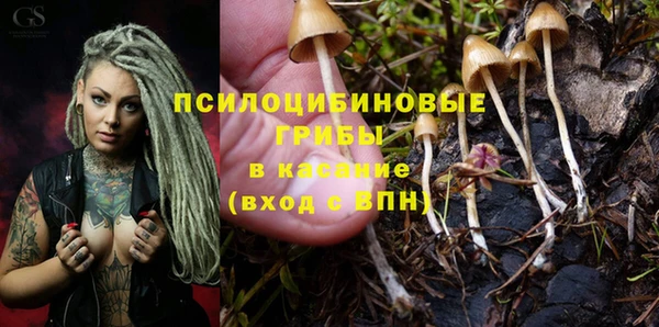 ешки Абинск