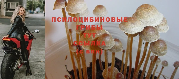 соль ск Абаза