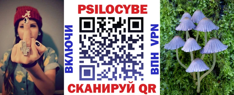 сайты даркнета состав  гидра как зайти  Никольское  наркота  Псилоцибиновые грибы GOLDEN TEACHER 